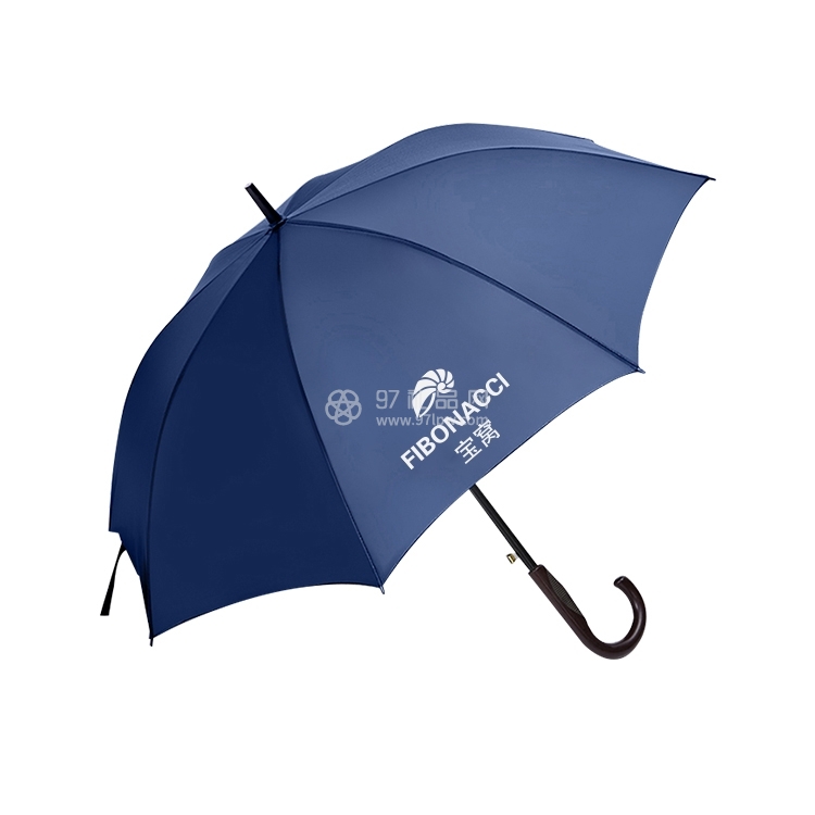 上海宝窝雨伞案例产品