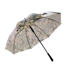 创意复古玫瑰花长柄伞加大结实防风柄自动晴雨伞